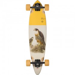 GLOBE - Longboard Complet - PINTAIL - 34" - Falcon